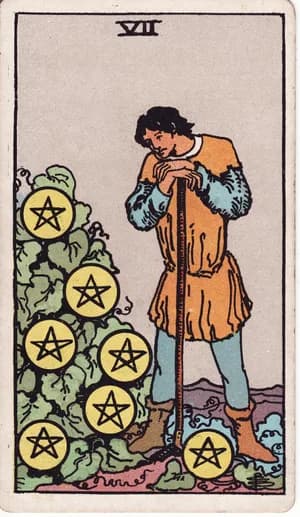 Sedmička pentaklů — tarot karta